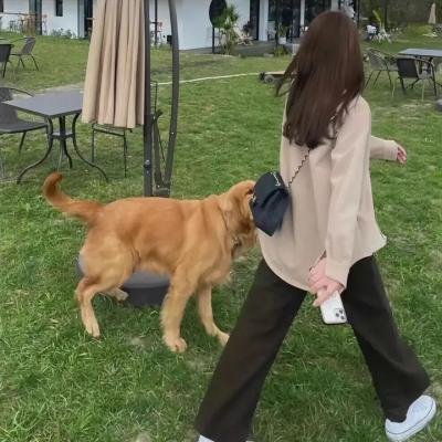 汉城大逃亡